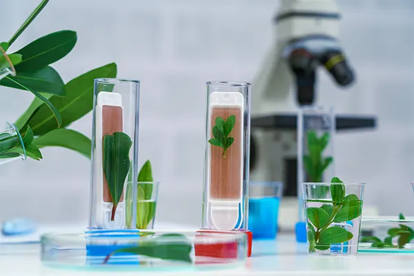 Organic Standard Solutions